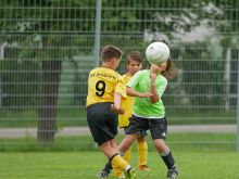 029_TSV_Fussball-Turnier_Obg_F-Jugend_18.07.2016_Foto_M._Gromer.jpg